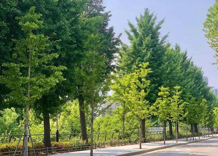 10minutes From Korea University#cozy House#동대문 別墅